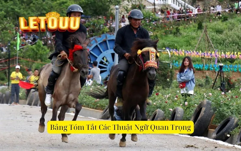 Bảng Tóm Tắt Các Thuật Ngữ Quan Trọng