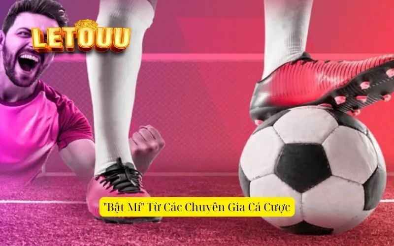 "Bật Mí" Từ Các Chuyên Gia Cá Cược