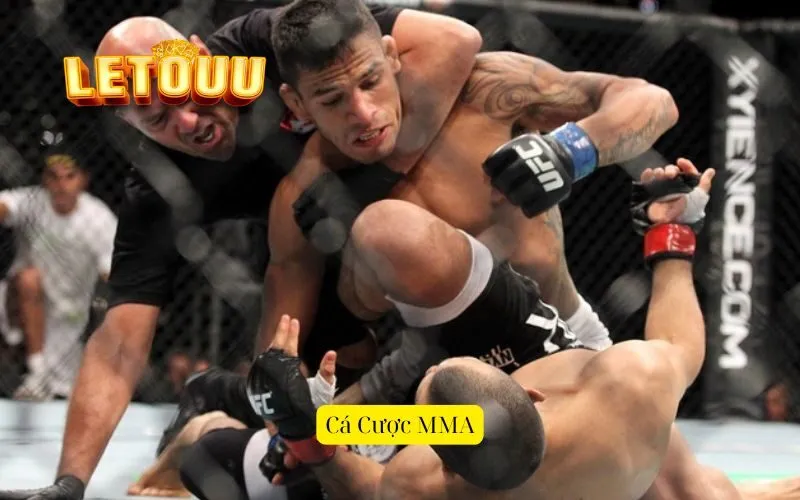 Cá Cược MMA