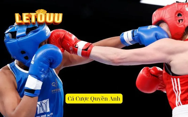 Cá Cược Quyền Anh