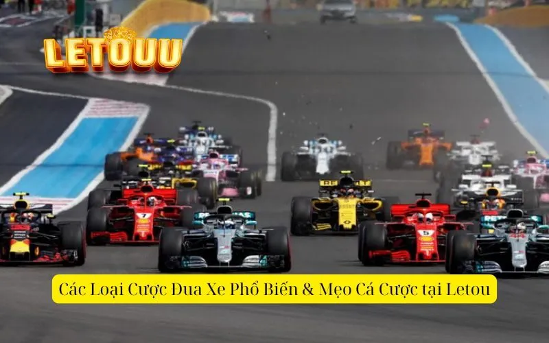 Các Loại Cược Đua Xe Phổ Biến & Mẹo Cá Cược tại Letou