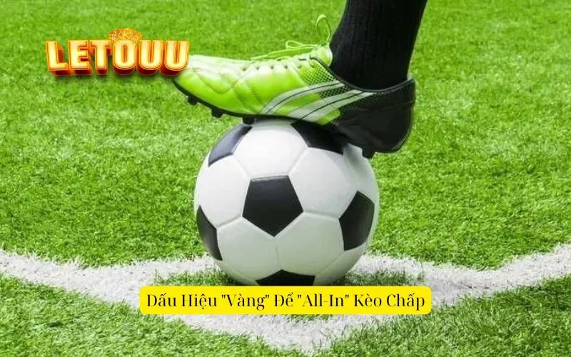 Dấu Hiệu Vàng Để All-In Kèo Chấp