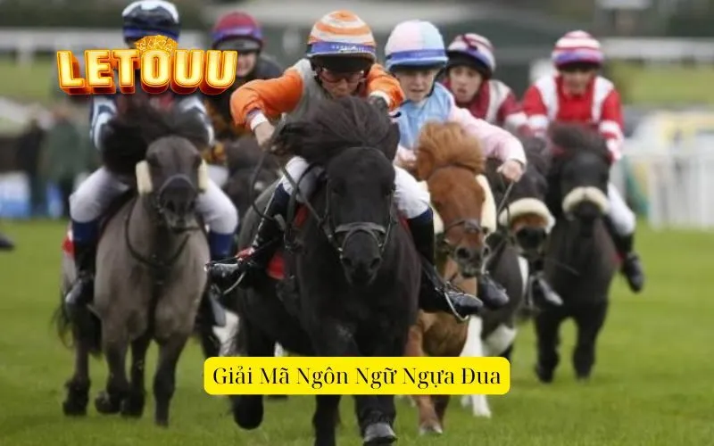 Giải Mã Ngôn Ngữ Ngựa Đua