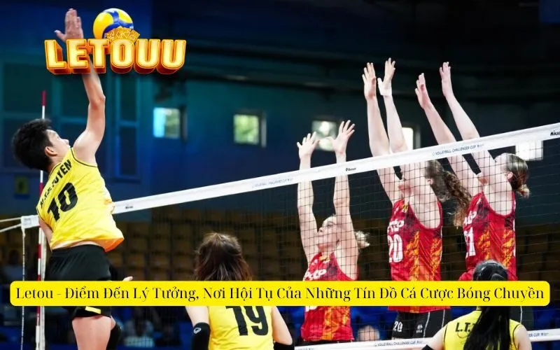 Letou - Điểm Đến Lý Tưởng, Nơi Hội Tụ Của Những Tín Đồ Cá Cược Bóng Chuyền