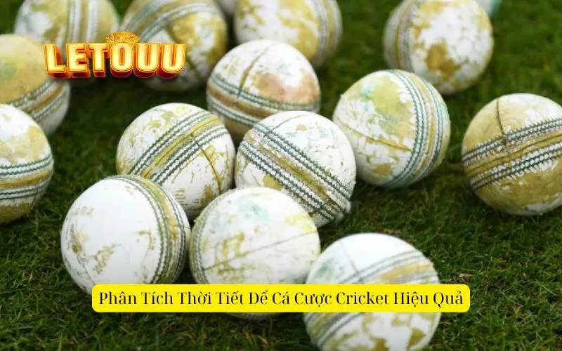 Phân Tích Thời Tiết Để Cá Cược Cricket Hiệu Quả